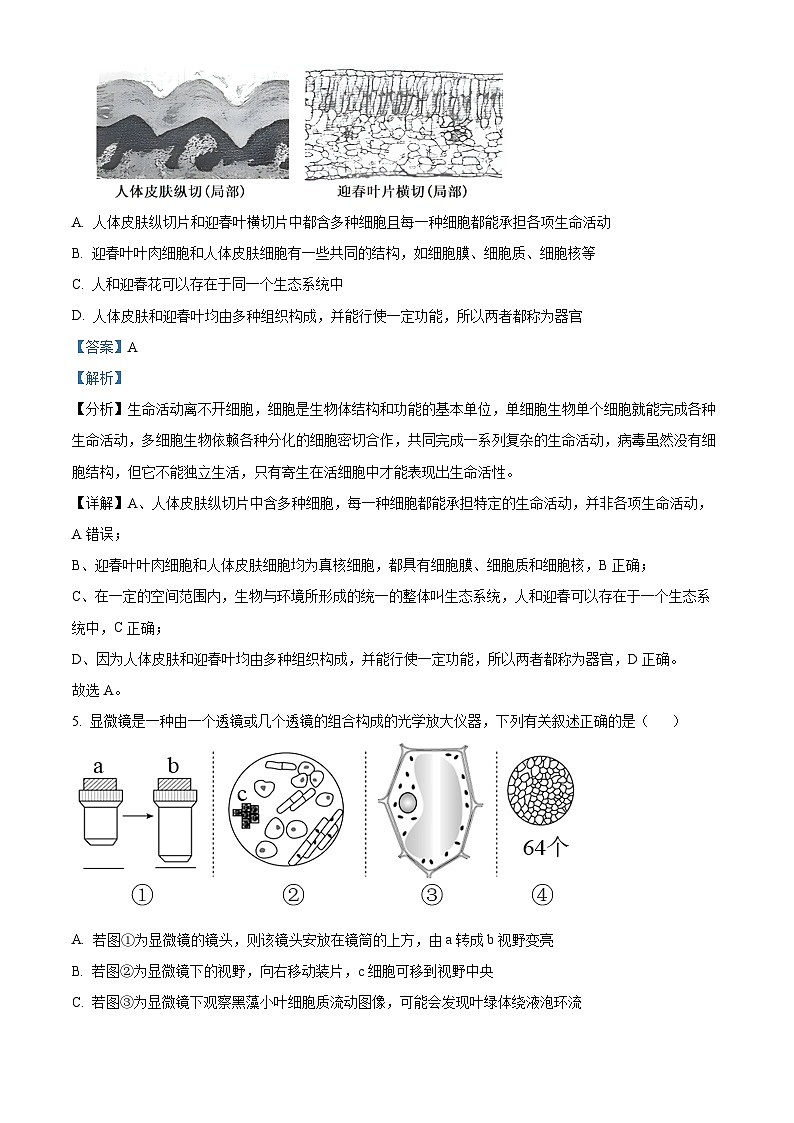 明德中学2024-2025学年高一上学期第一次阶段检测生物（含解析）第3页