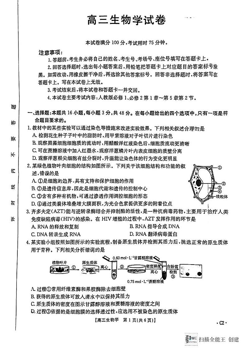 陕西省渭南市韩城市2024-2025学年高三上学期期中考试生物试题含答案第1页