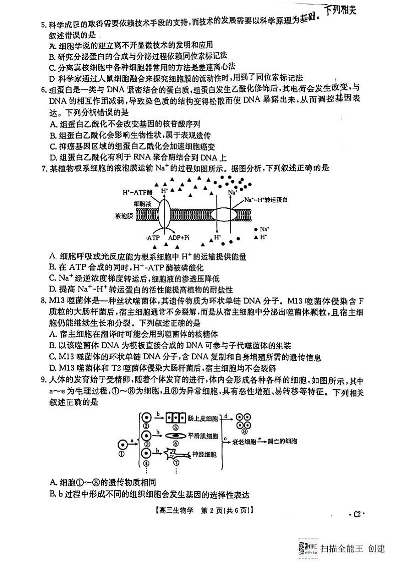 陕西省渭南市韩城市2024-2025学年高三上学期期中考试生物试题含答案第2页