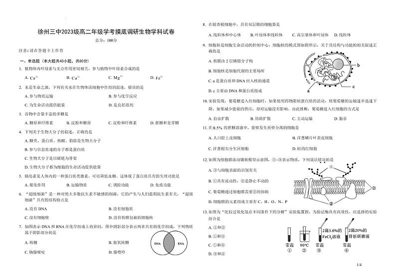 生物摸底第1页