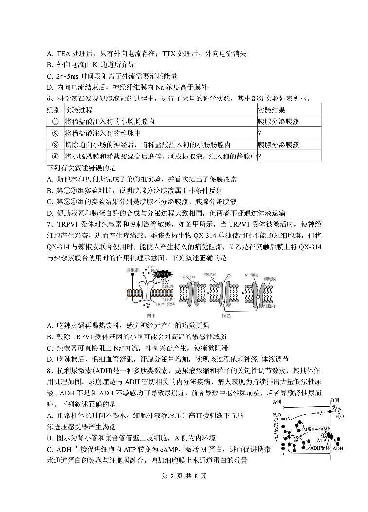 江苏省镇江一中、徐州三中等十三校联盟2024-2025学年高二上学期11月期中生物试题第2页