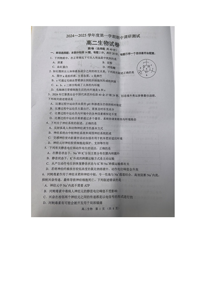 江苏省宿迁市沭阳县2024-2025学年高二上学期11月期中生物试题第1页