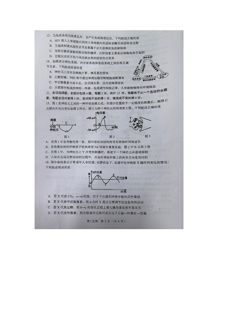 江苏省宿迁市沭阳县2024-2025学年高二上学期11月期中生物试题第3页