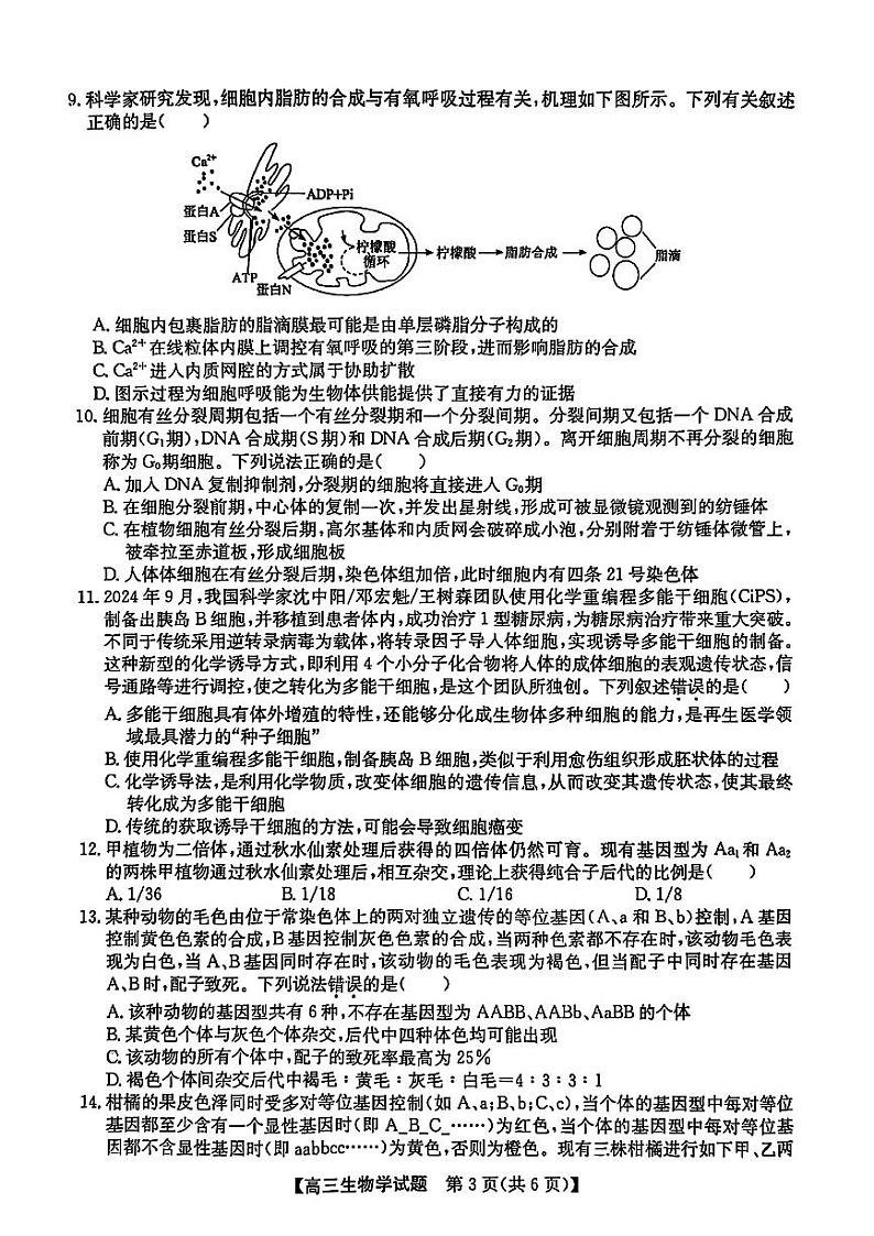 安徽省2025届高三上学期高考第一次五校联考生物试题+答案第3页