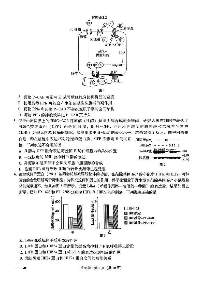巴蜀中学2025届高考适应性月考卷（三）生物第2页
