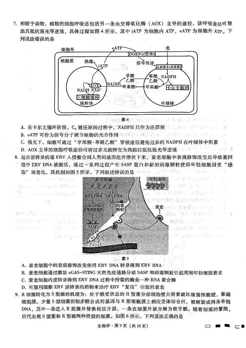巴蜀中学2025届高考适应性月考卷（三）生物第3页