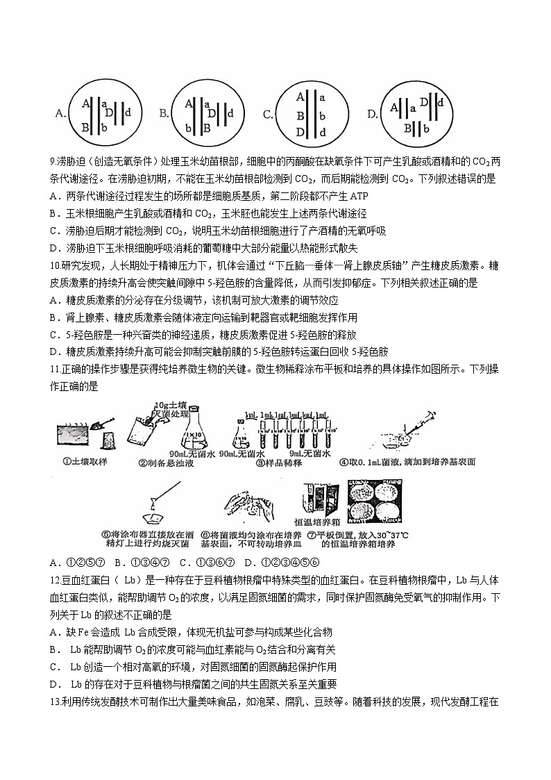湖北省武汉市江岸区2024-2025学年高三上学期11月调考生物试卷（有答案）第3页