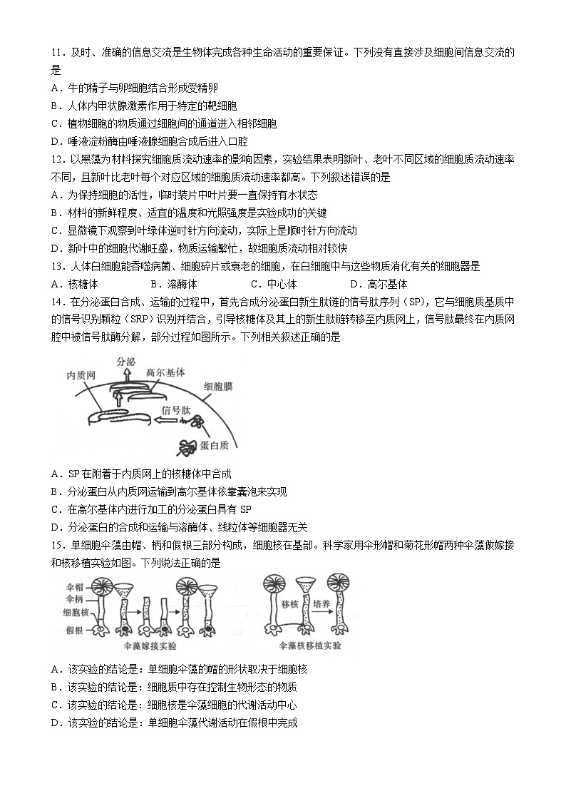 2025汉中高一上学期11月期中校际联考试题生物含答案第3页