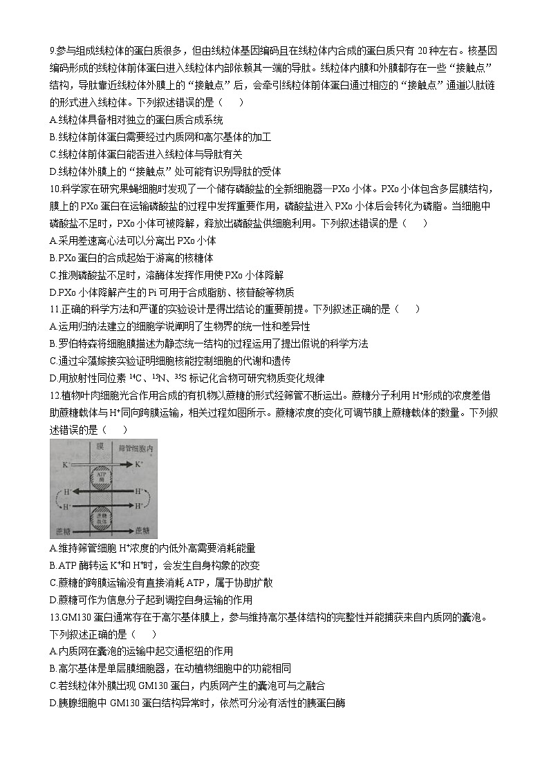 2025烟台高一上学期11月期中考试生物含答案第3页