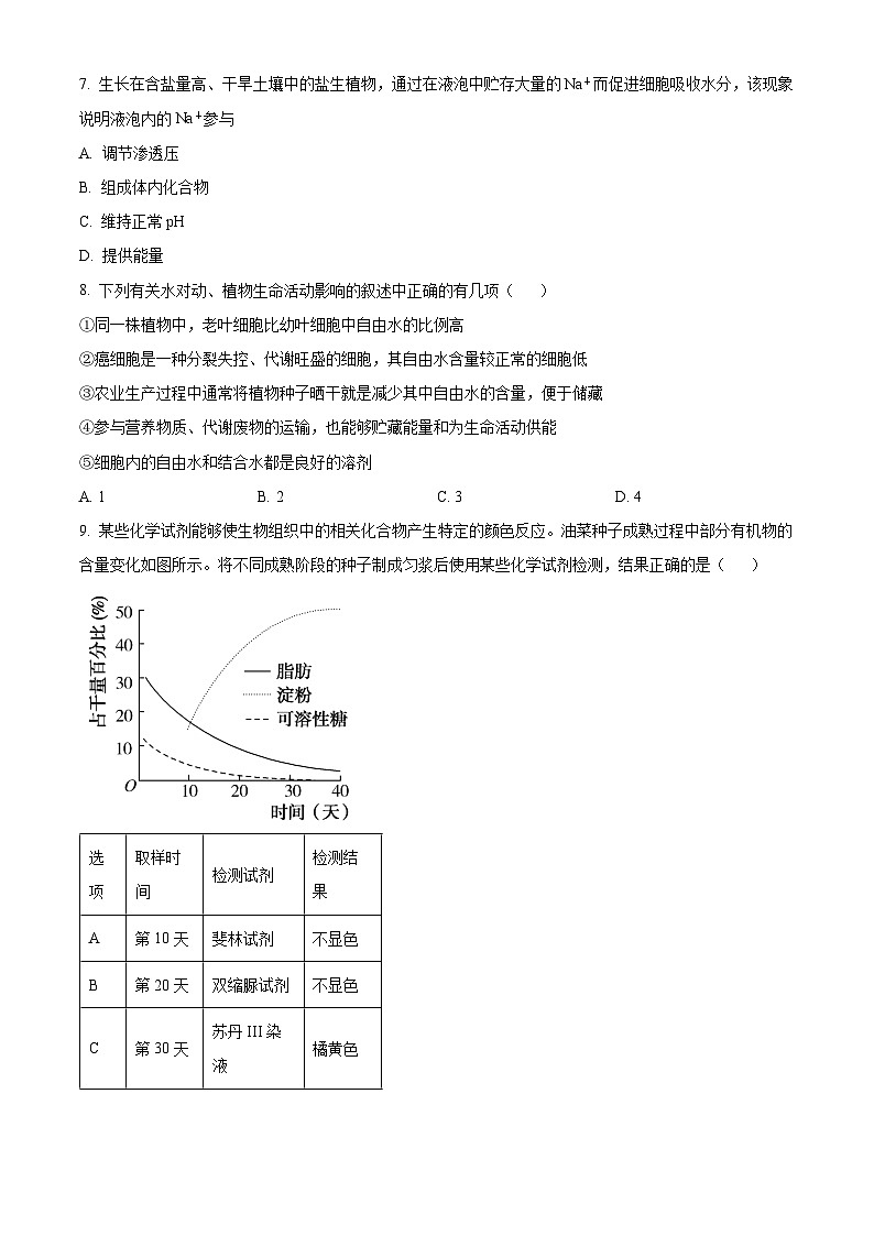 2025安徽师大附中高一上学期期中考试生物含解析第2页