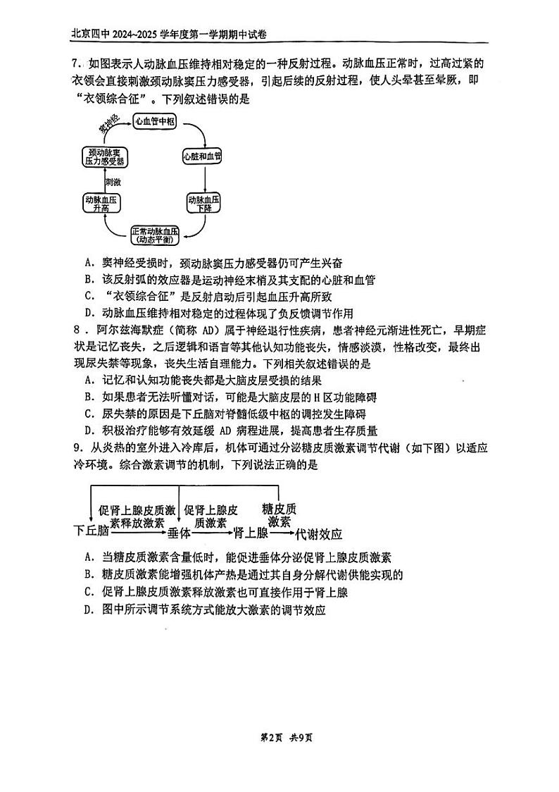 2024北京四中高二（上）期中生物试卷第2页