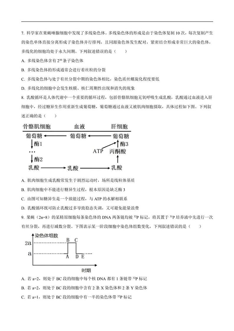山东省临清市实验高级中学2025届高三(上)期中考前考(一)生物试卷(含答案)第3页