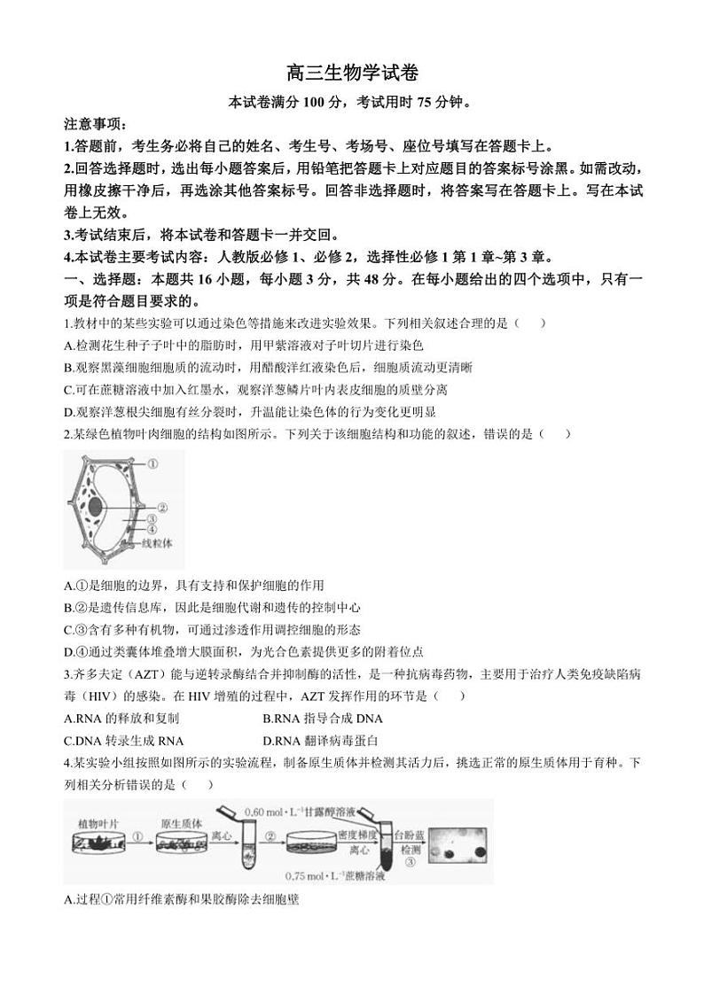 陕西省汉中市期中联考检测考试2024～2025学年高三(上)期中生物试卷(含解析)第1页