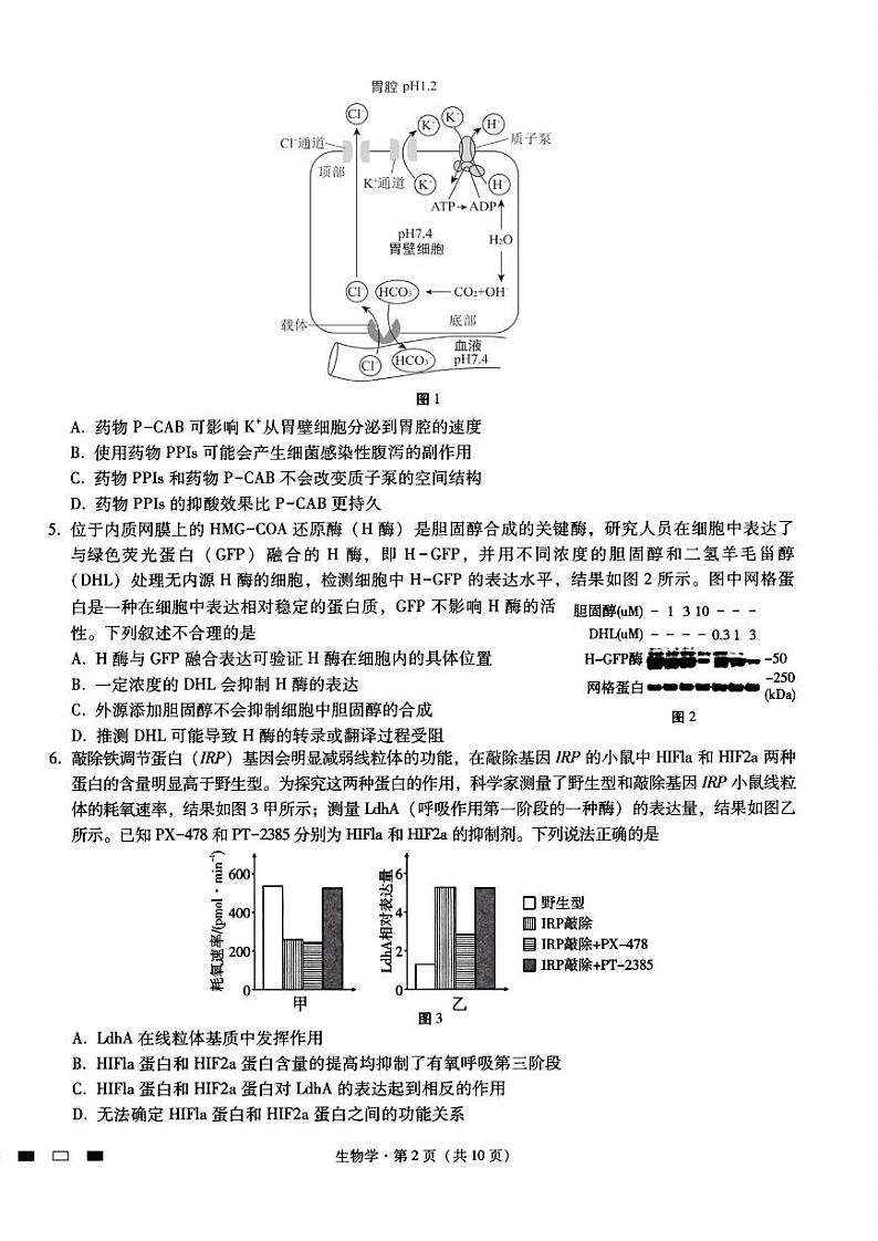 重庆市渝中区重庆市巴蜀中学校2024-2025学年高三上学期11月月考生物试题02