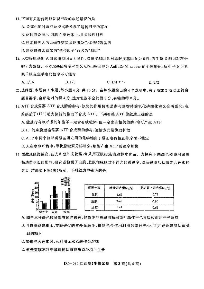 2025届江西省九校联考高三上学期11月期中考试生物（含答案）第3页