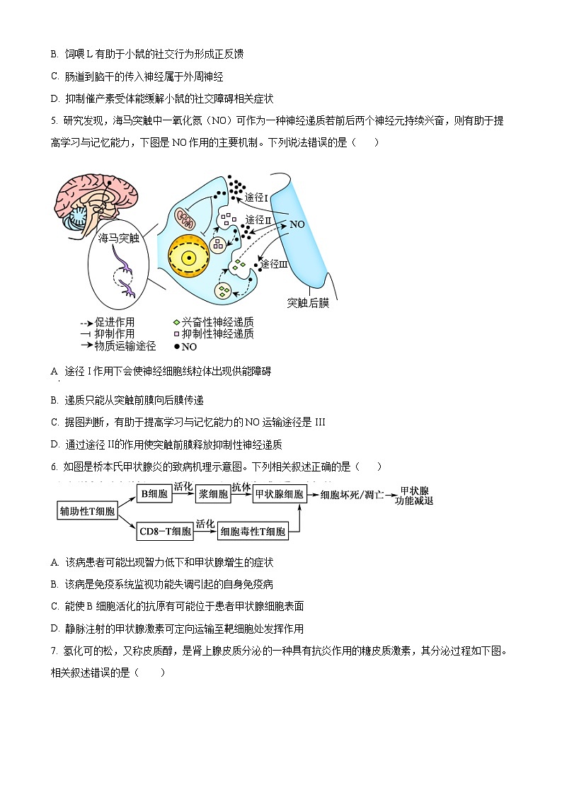 精品解析：黑龙江省齐齐哈尔市第八中学校2024-2025学年高二上学期期中考试生物试卷（原卷版）第2页