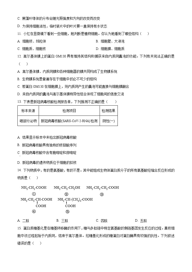 精品解析：广西壮族自治区桂林市普通高中2024-2025学年高一上学期期中检测生物试题（原卷版）第3页