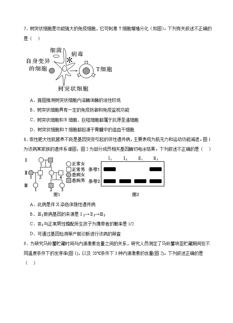 广东省广州外国语、广大附中、铁一中学等三校2024-2025学年高三上学期期中联考生物试题第3页