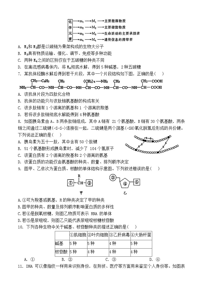 江苏省南京市第一中学2024~2025学年高一上学期11月期中考试生物试卷第2页