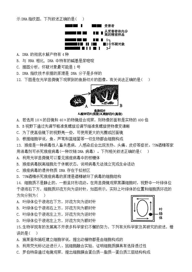 江苏省南京市第一中学2024~2025学年高一上学期11月期中考试生物试卷第3页