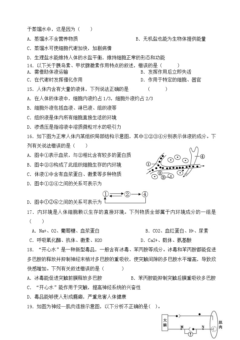甘肃省天水市三中2024-2025学年高二上学期9月月考生物试题第3页