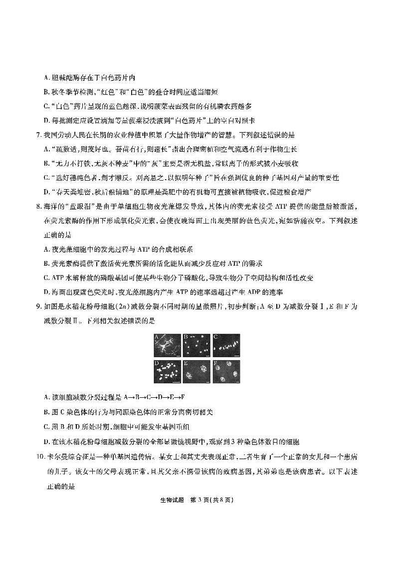 江淮十校-生物试题（A版）第3页
