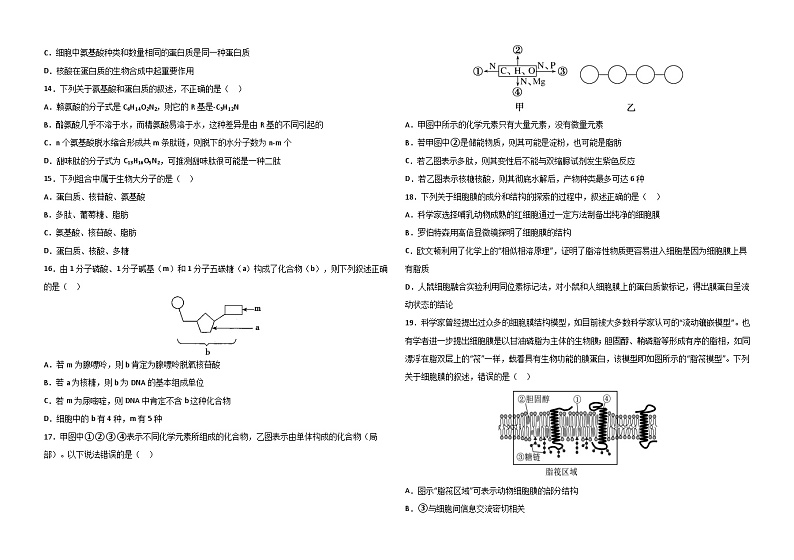 高一期中考生物试卷（11月）第3页