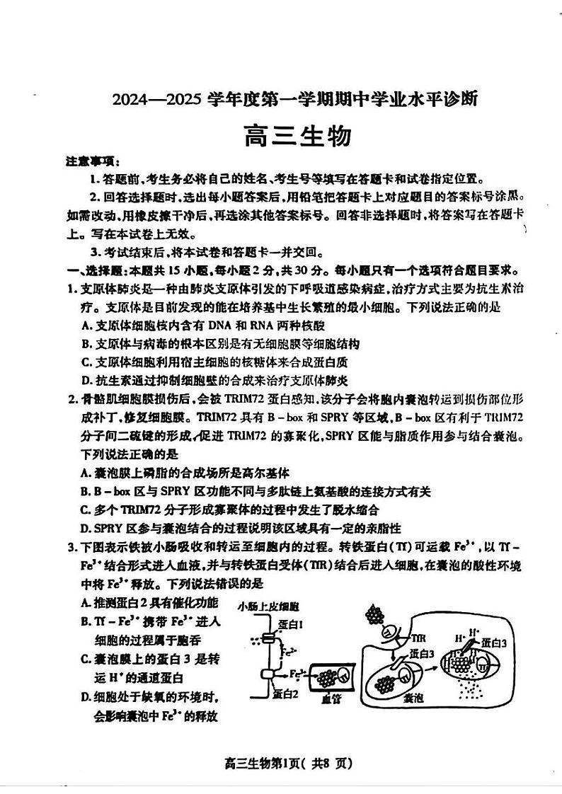 2025届山东省烟台市高三上学期11月考-生物试卷+答案第1页