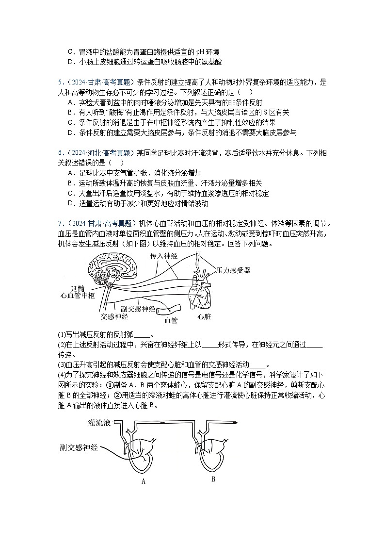专题13  神经调节（原卷版）第2页