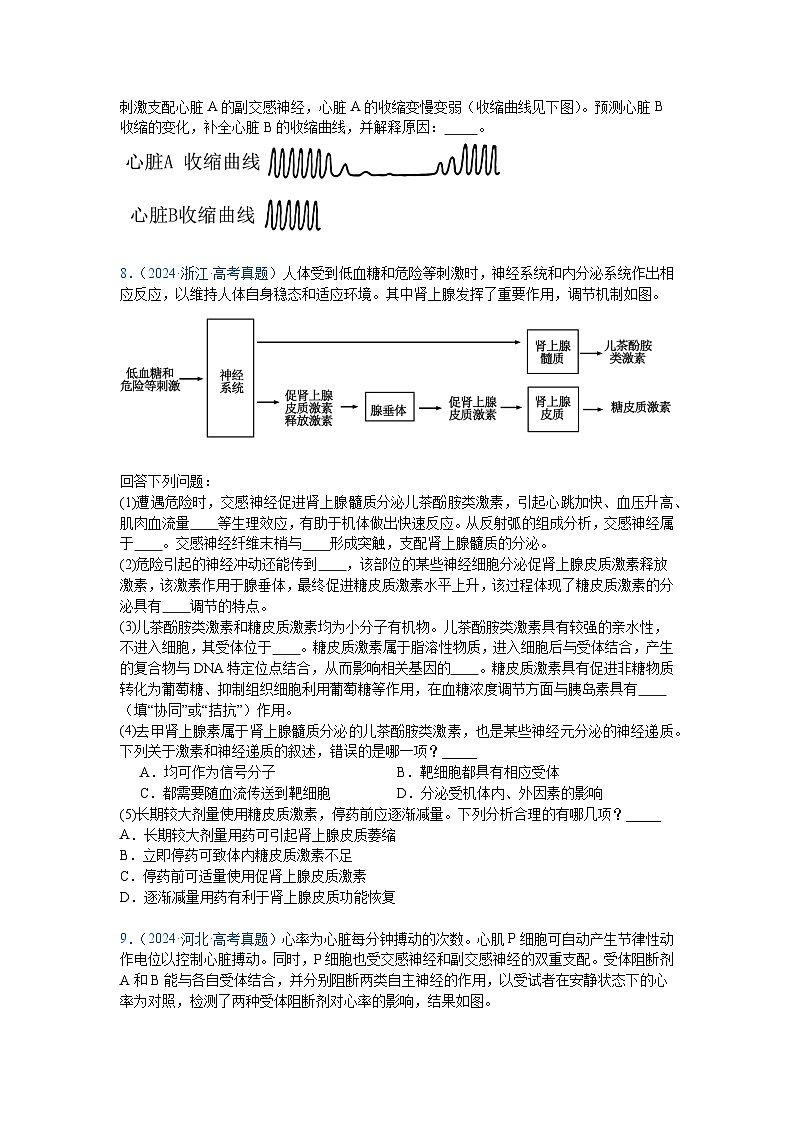 专题13  神经调节（原卷版）第3页