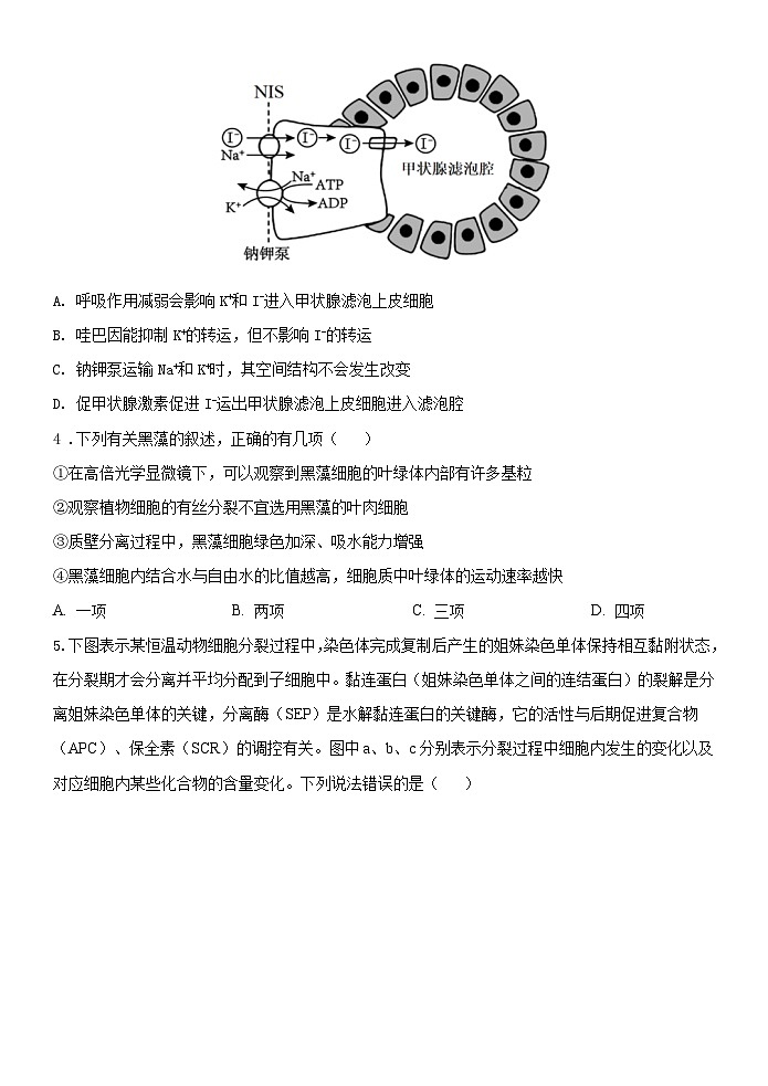 1818 - 副本第2页