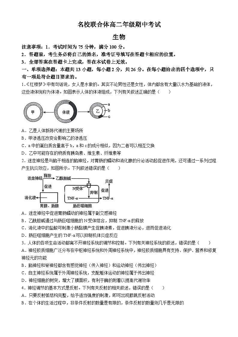 河北省邢台市第一中学2024-2025学年高二上学期11月期中生物试题第1页