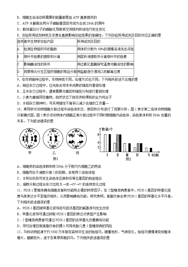 山西省部分学校2024-2025学年高三上学期学情监测生物试题第3页