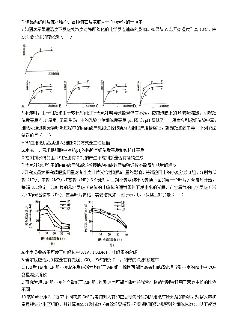 河南省三门峡市2024-2025学年高三上学期11月期中考试 生物 Word版含解析第3页