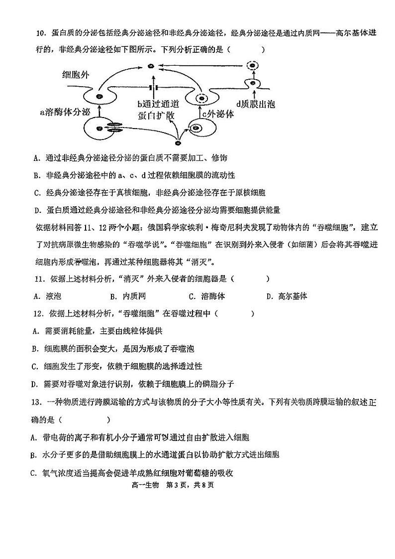 天津市北辰区天津市第四十七中学2024-2025学年高一上学期11月期中生物试题第3页