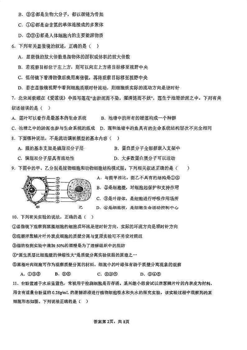 四川省内江市市中区内江市第二中学2024-2025学年高一上学期11月期中生物试题02