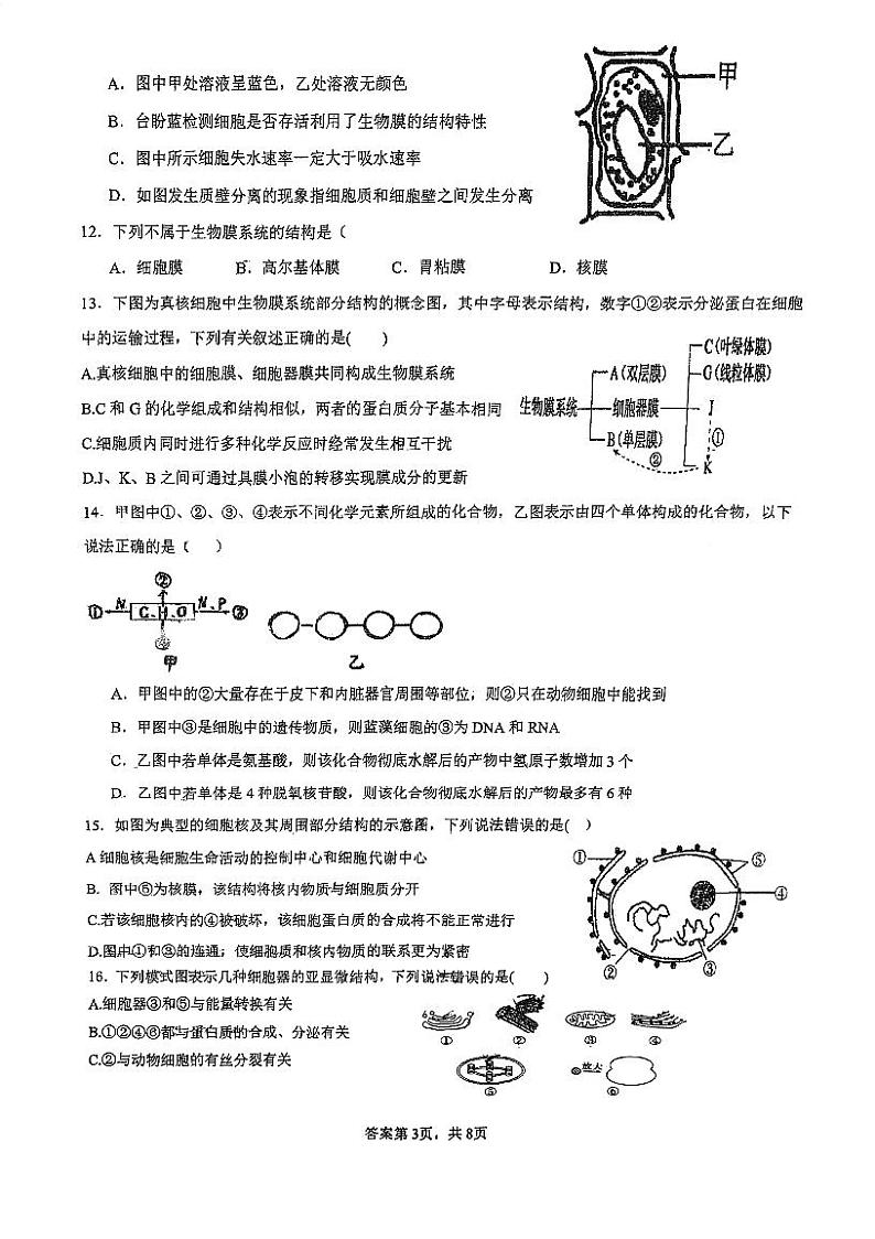 四川省内江市市中区内江市第二中学2024-2025学年高一上学期11月期中生物试题03