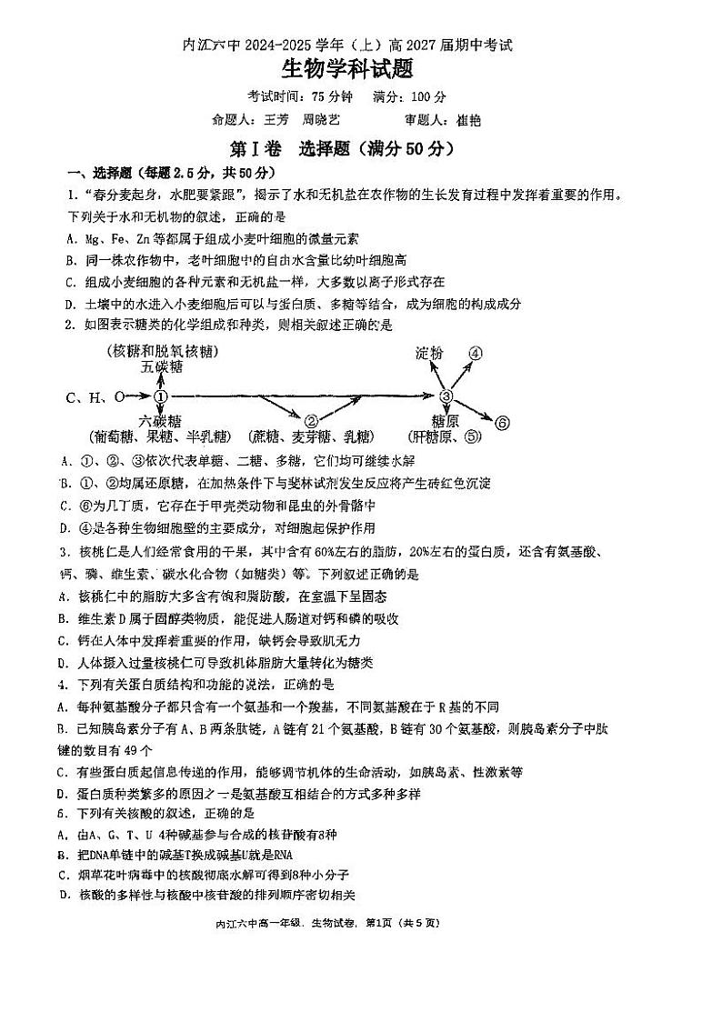 四川省内江市市中区内江市第六中学2024-2025学年高一上学期11月期中生物试题01