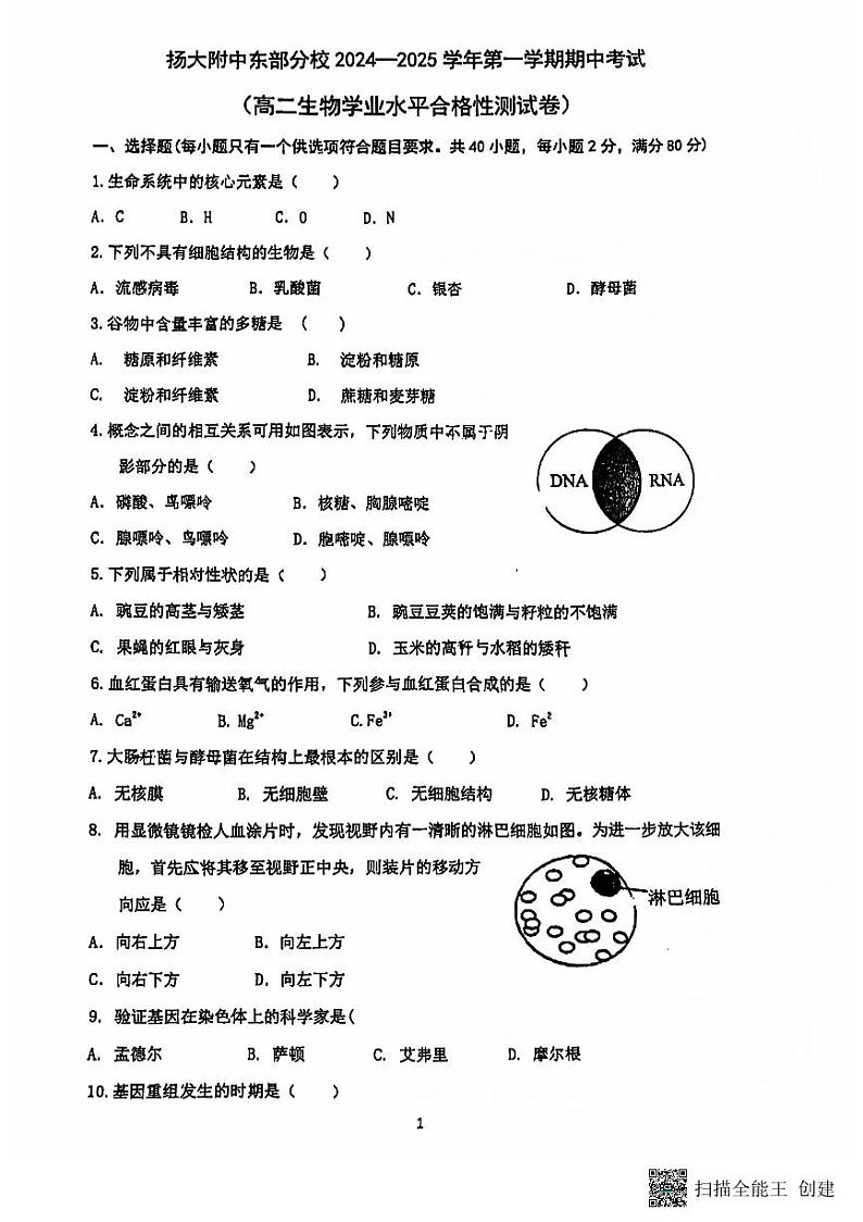 江苏省扬州市广陵区扬州大学附属中学东部分校2024-2025学年高二上学期11月期中生物试题第1页