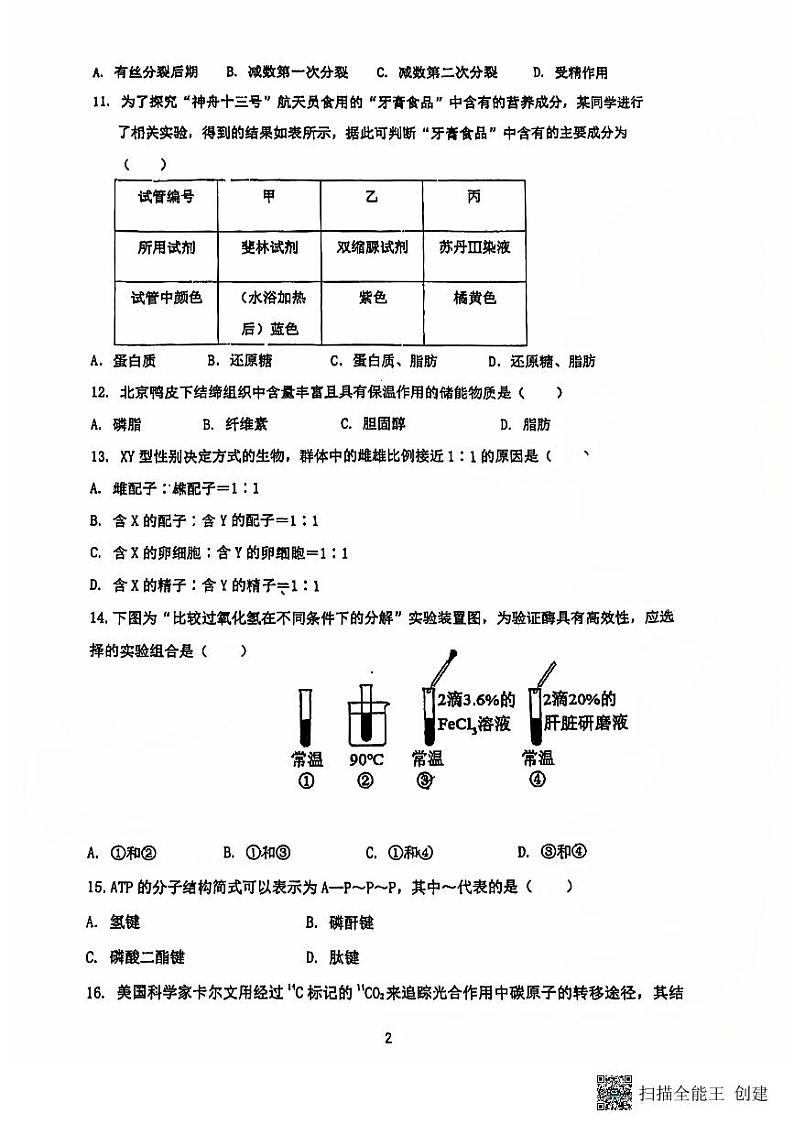 江苏省扬州市广陵区扬州大学附属中学东部分校2024-2025学年高二上学期11月期中生物试题第2页