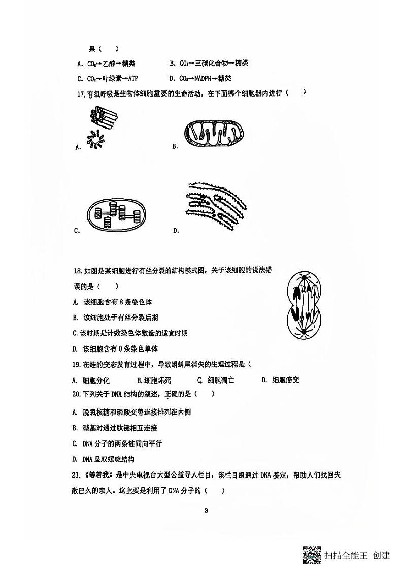 江苏省扬州市广陵区扬州大学附属中学东部分校2024-2025学年高二上学期11月期中生物试题第3页