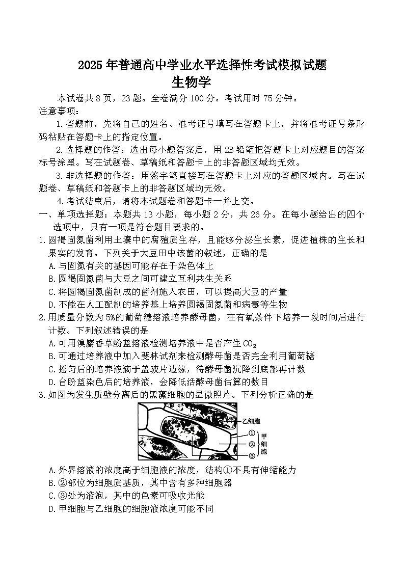 河北省沧州市运东五校2024-2025学年高三上学期11月期中生物试题(001)01