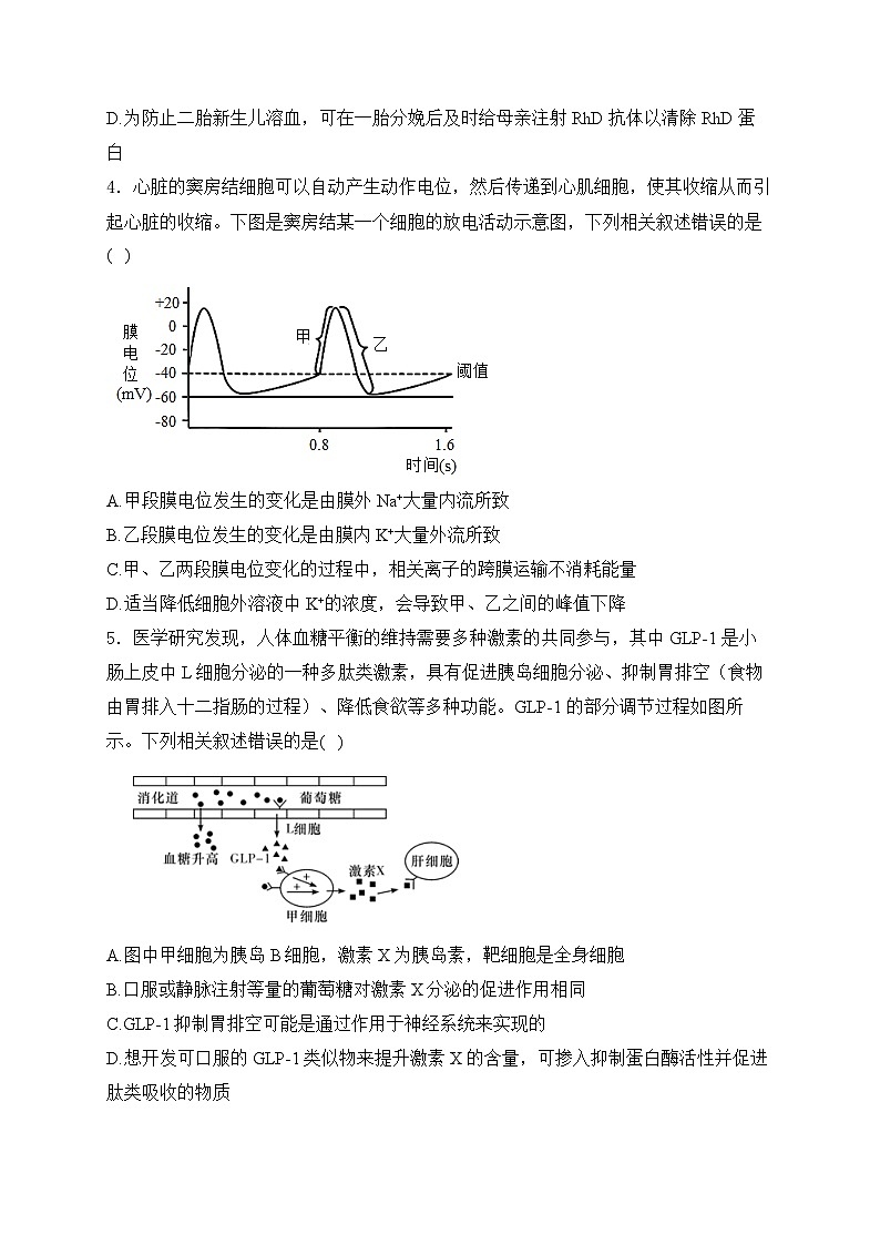 山东省泰安市肥城市肥城海亮外国语学校2024-2025学年高二上学期期中检测生物试卷第2页