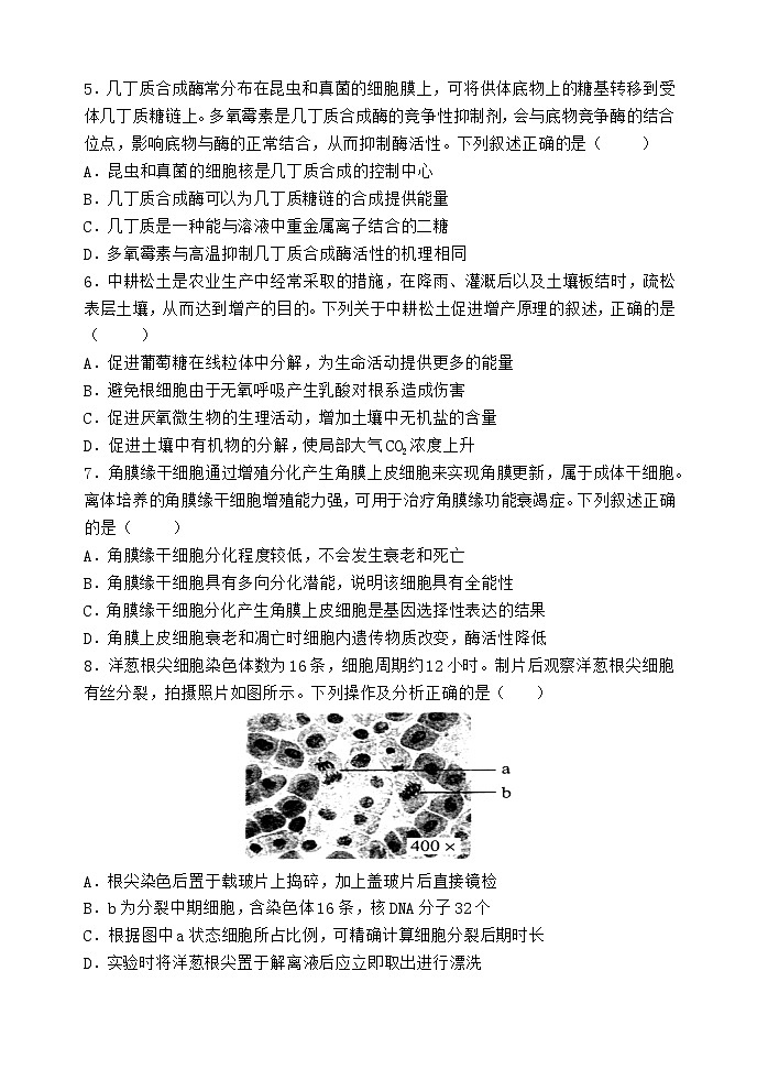 2025福州八县（）协作校高三上学期期中联考试题生物含答案第2页