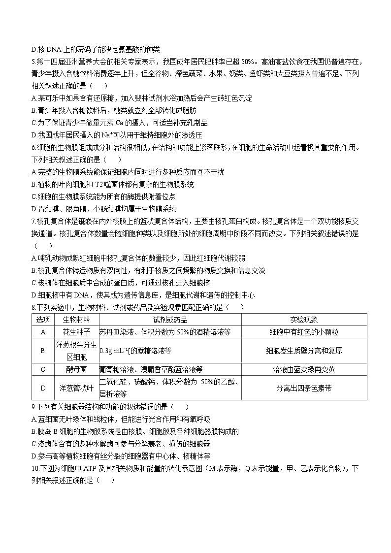 2025宜昌协作体高三上学期期中考试生物含解析02
