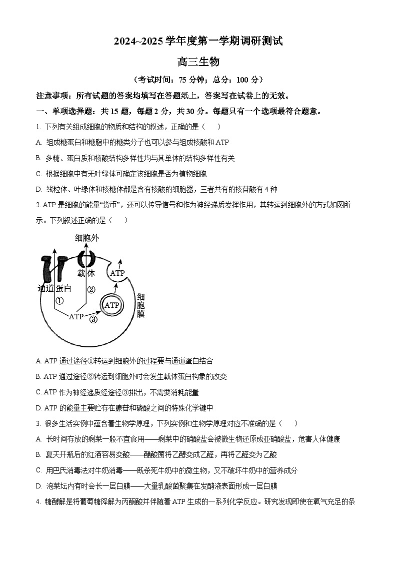 2025泰州靖江高三上学期11月期中考试生物含答案第1页