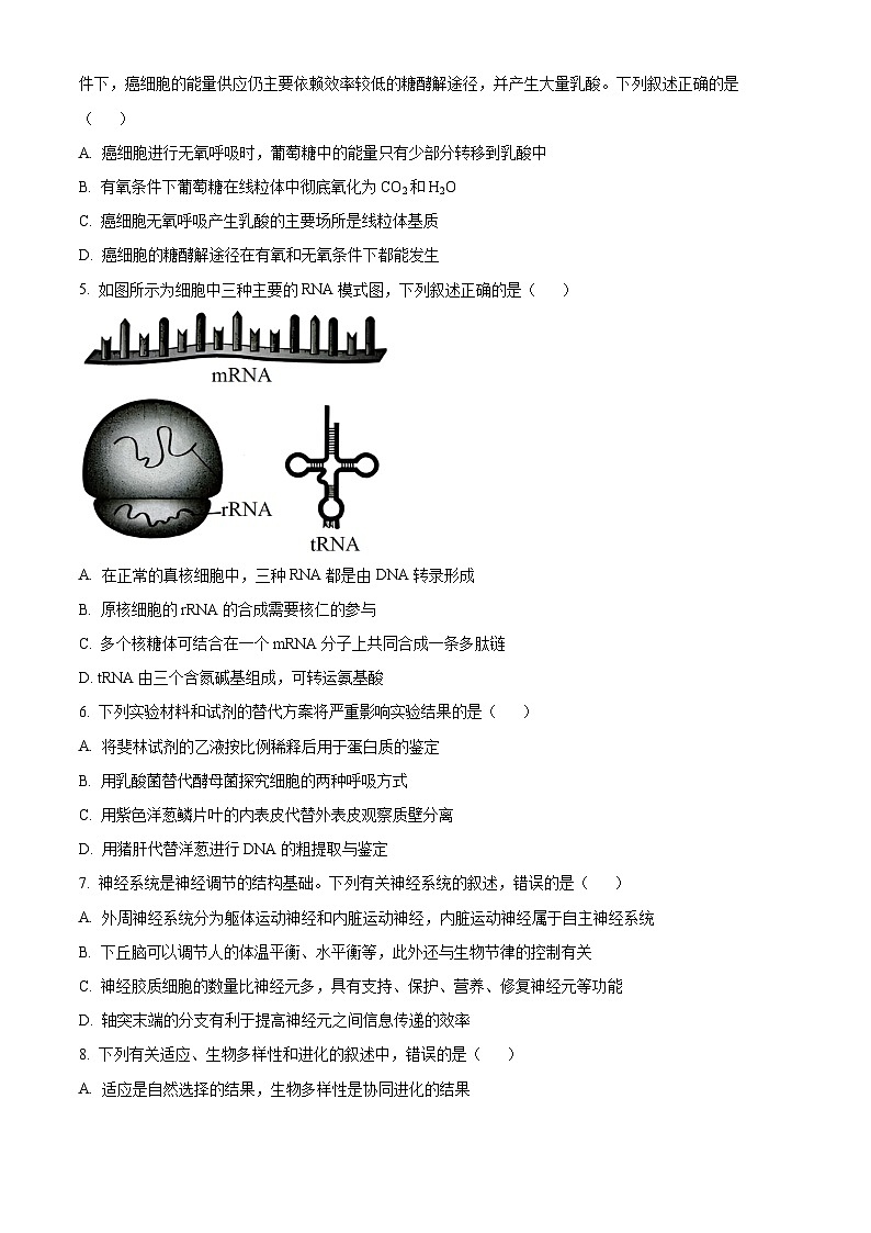 2025泰州靖江高三上学期11月期中考试生物含答案第2页