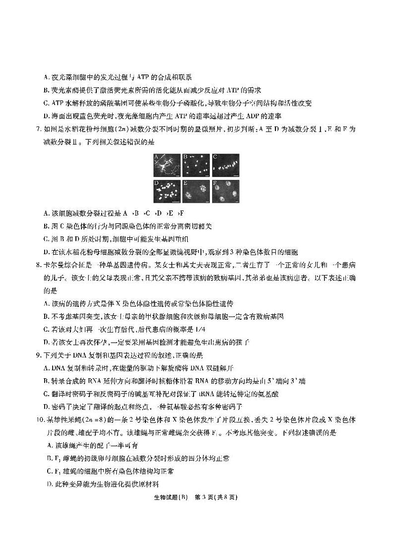 江淮十校-生物试题（B版）第3页
