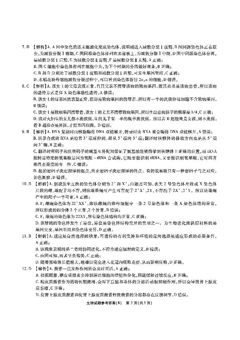 江淮十校-生物答案（B卷）第2页