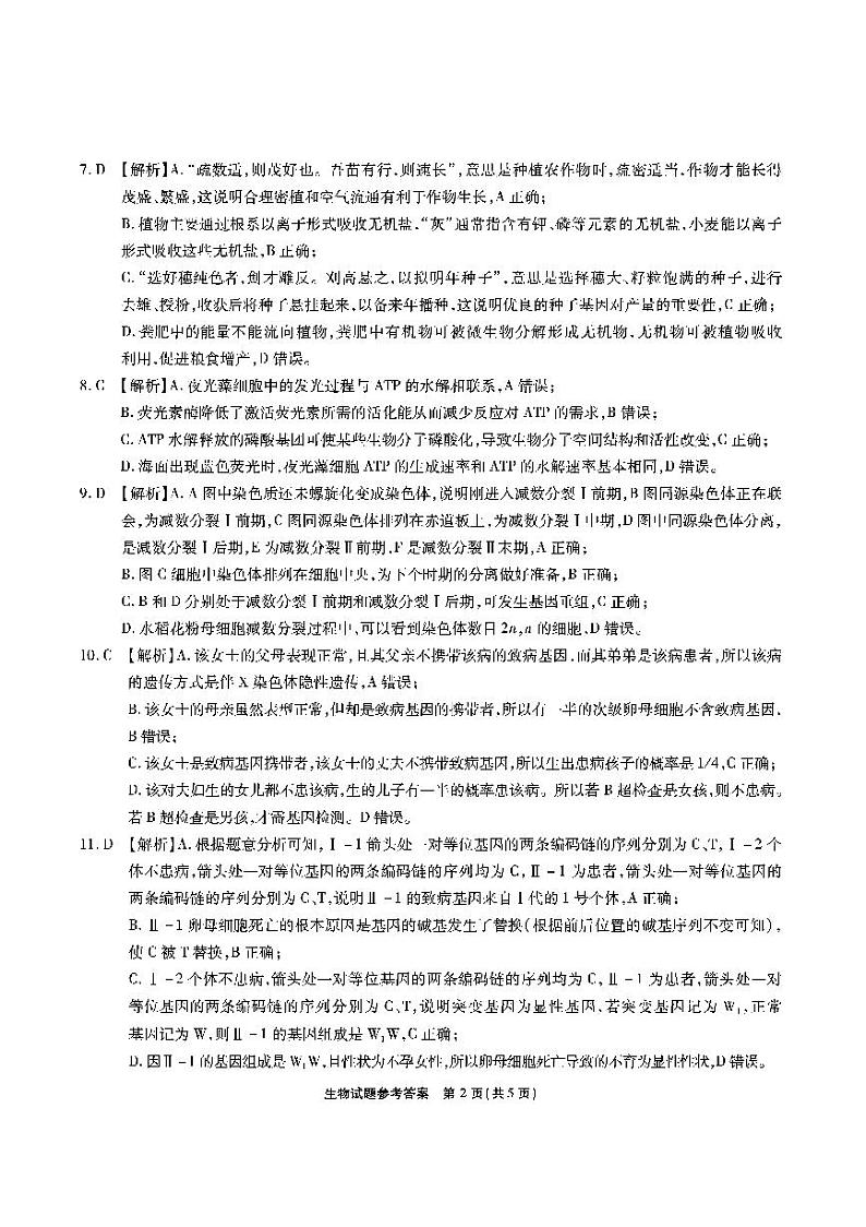 江淮十校-生物答案（A卷）第2页